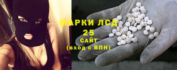 индика Алексин