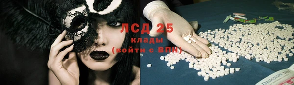 индика Алексин
