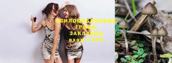 индика Алексин