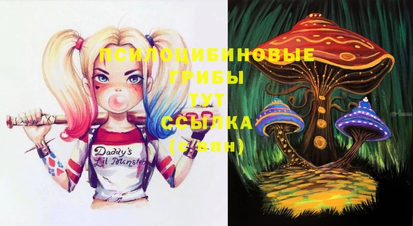 индика Алексин
