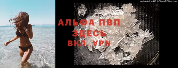 сатива Алексеевка