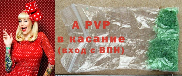 индика Алексин